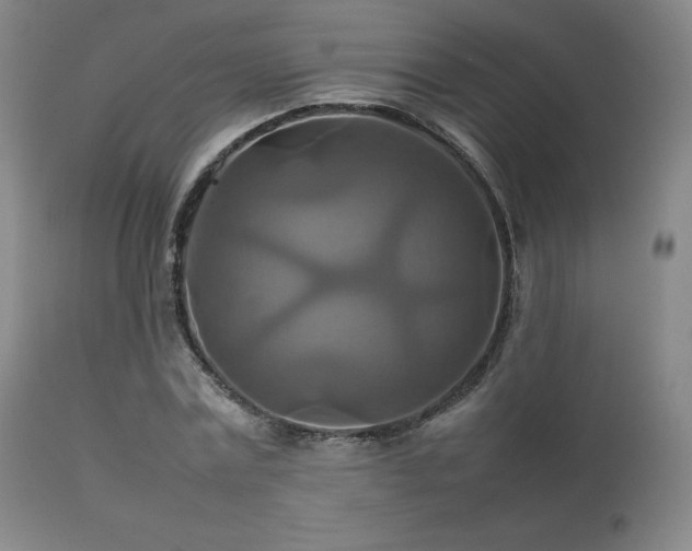 X0000111210779200907011442