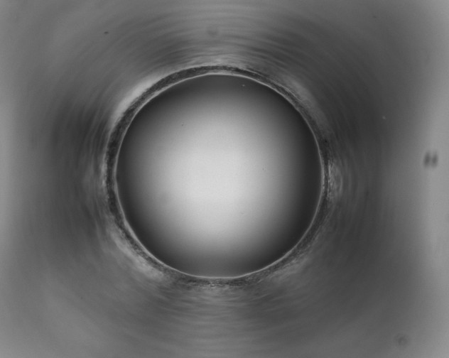 X0000111210780200907011442