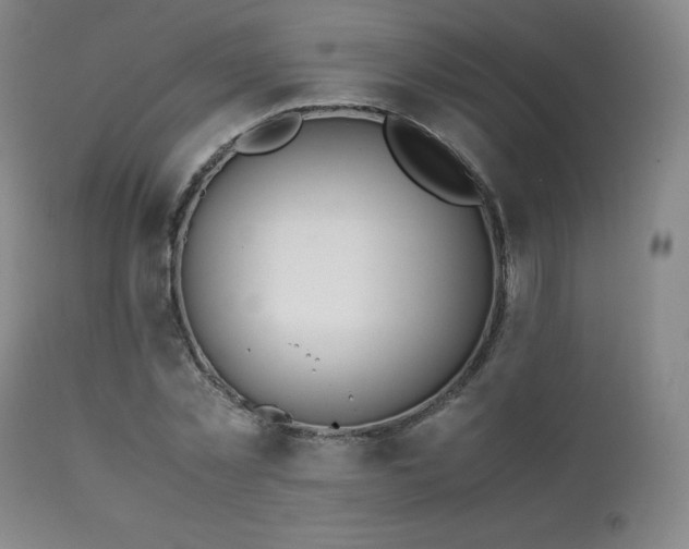 X0000111210781200907011442