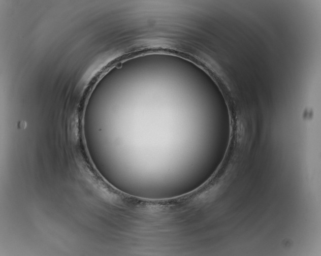 X0000111210782200907011442