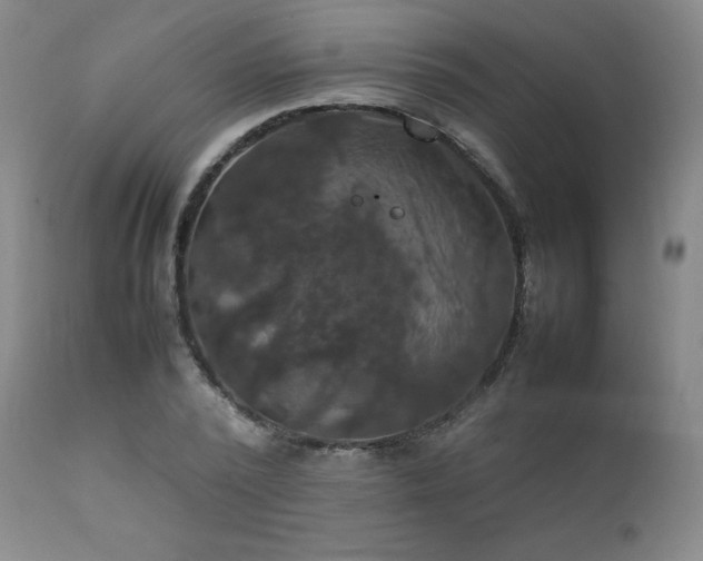 X0000111210784200907011442