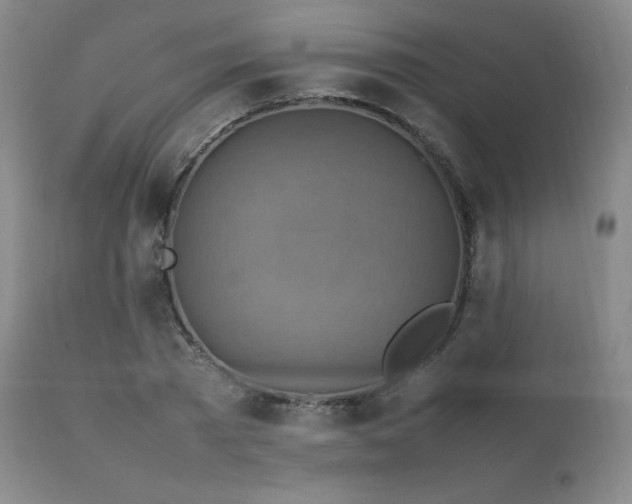 X0000111210785200907011442