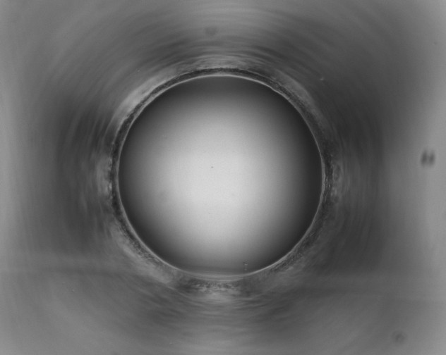 X0000111210786200907011442