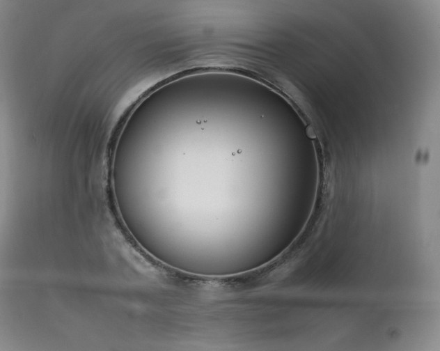 X0000111210787200907011442