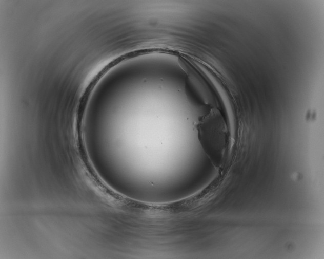 X0000111210788200907011442