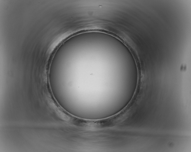 X0000111210789200907011442