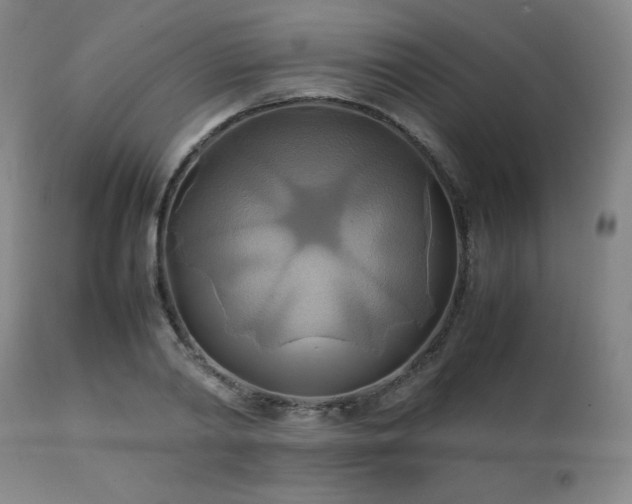 X0000111210790200907011442