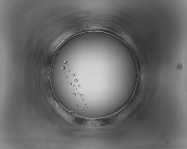 X0000111210793200907011442