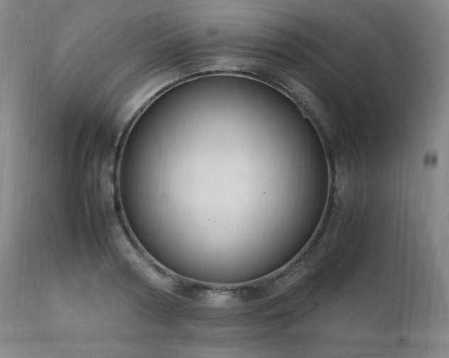 X0000111210794200907011442