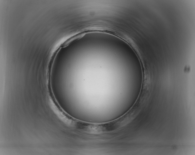 X0000111210795200907011442