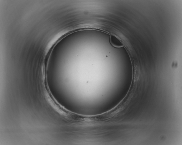 X0000111210796200907011442