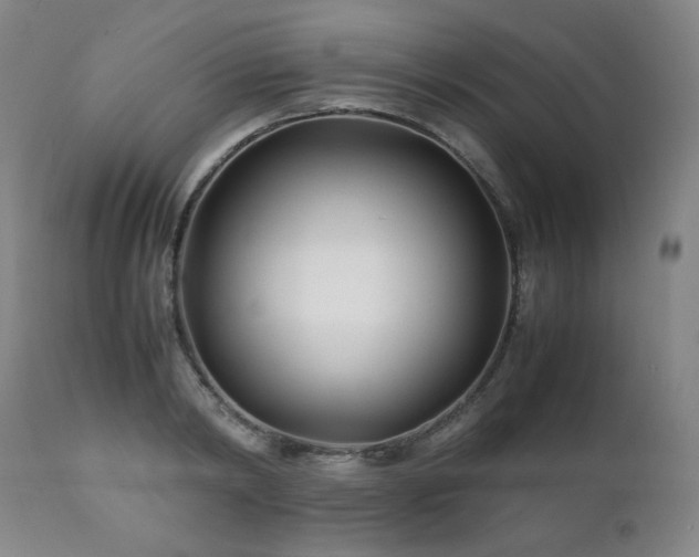 X0000111210798200907011442