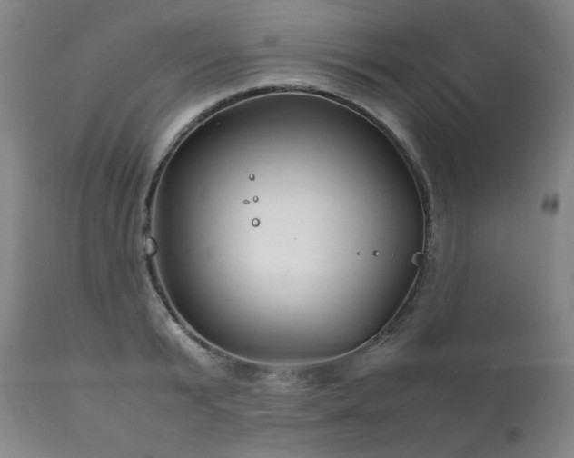 X0000111210799200907011442