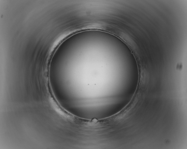 X0000111210800200907011442