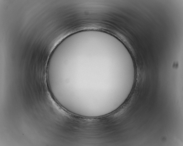 X0000111210802200907011442