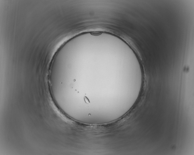 X0000111210805200907011442