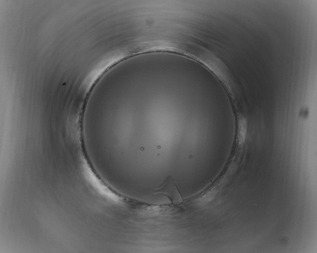 X0000111210806200907011442