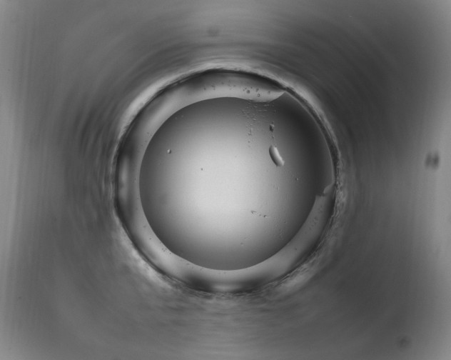 X0000111210807200907011442