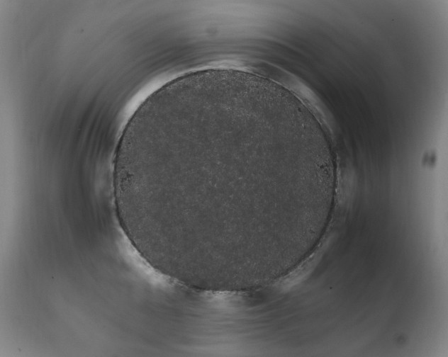 X0000111210808200907011442