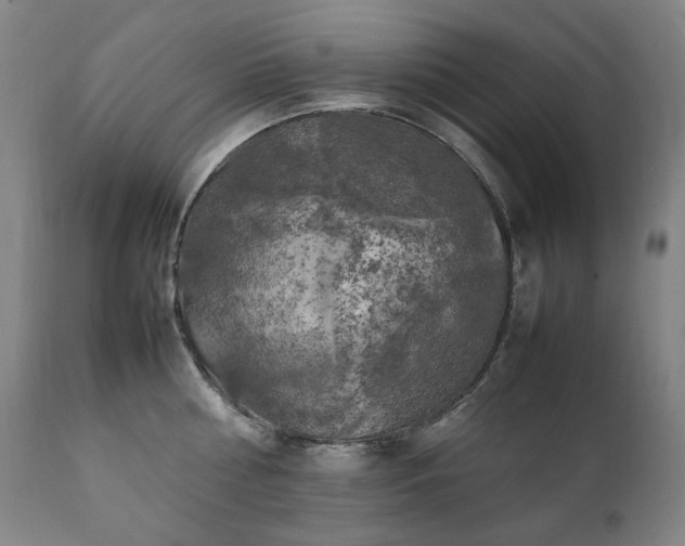 X0000111210810200907011442