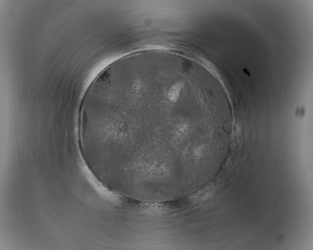 X0000111210811200907011442