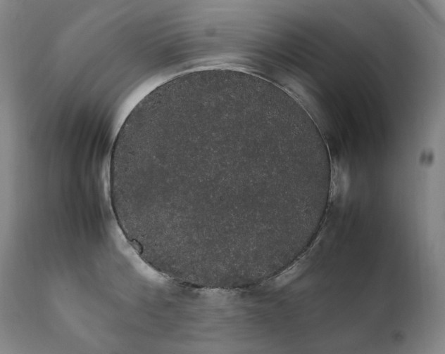 X0000111210812200907011442