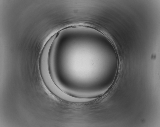 X0000111210813200907011442