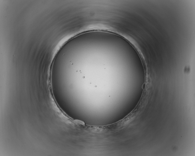 X0000111210815200907011442