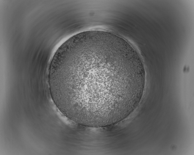 X0000111210816200907011442