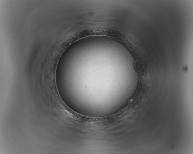 X0000111210817200907011441