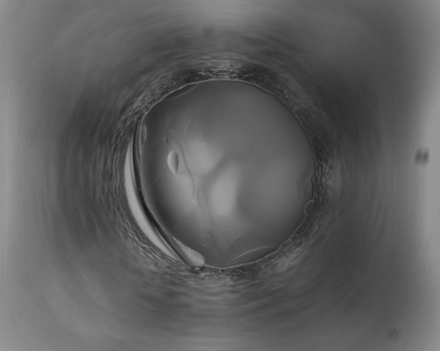 X0000111210818200907011441