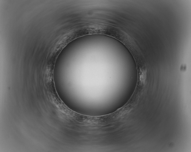 X0000111210819200907011441