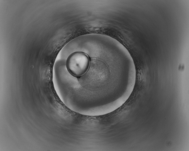 X0000111210820200907011441