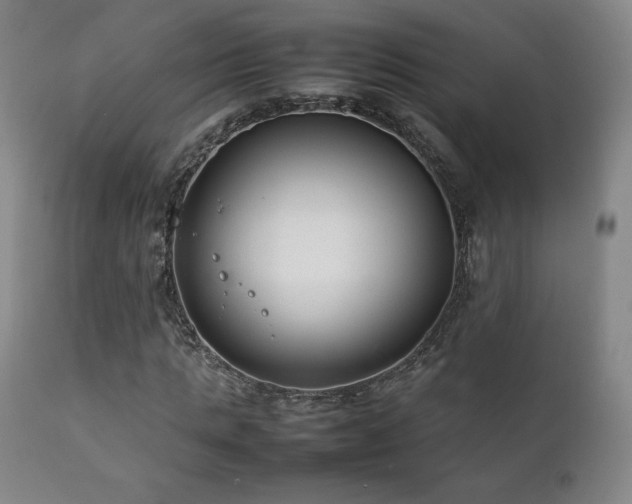 X0000111210821200907011441