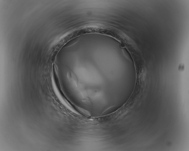 X0000111210822200907011441