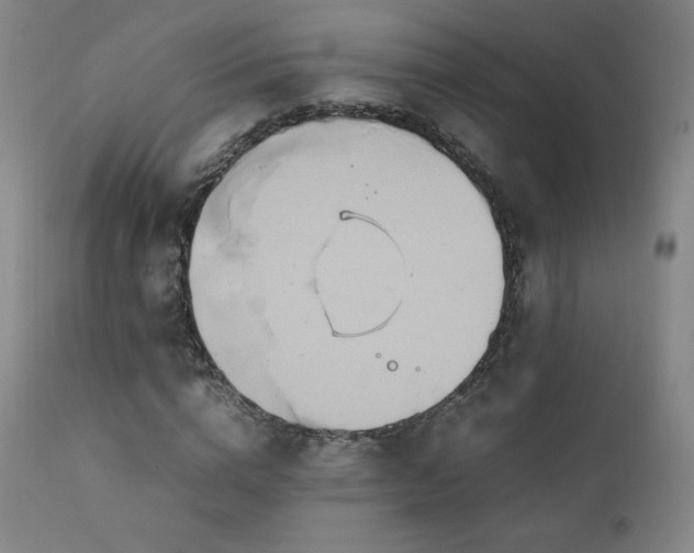 X0000111210824200907011441