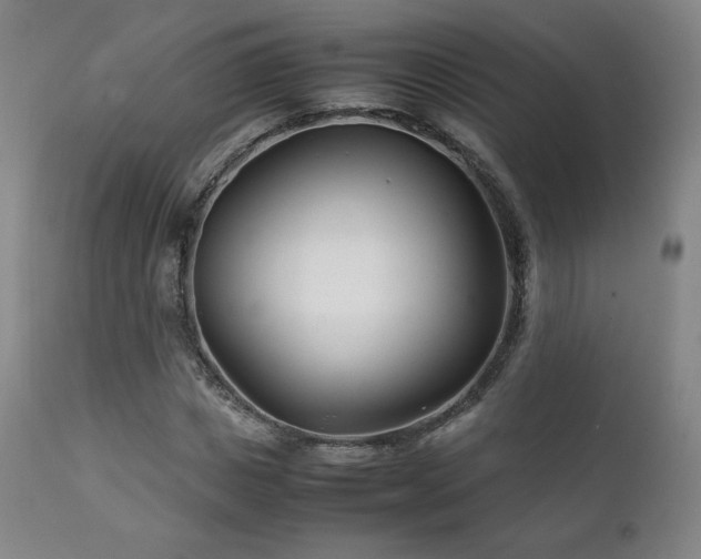 X0000111210825200907011441