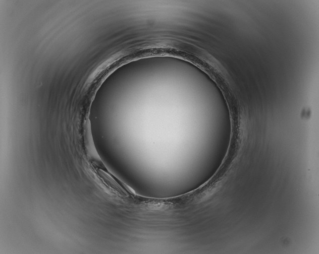 X0000111210826200907011441