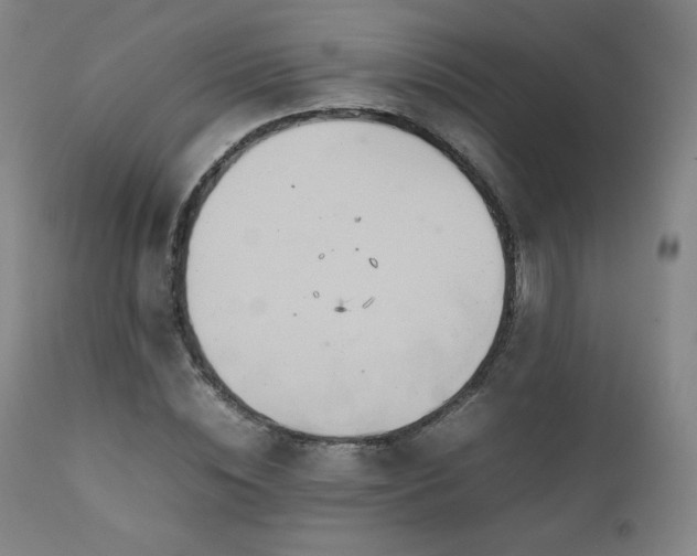 X0000111210828200907011441