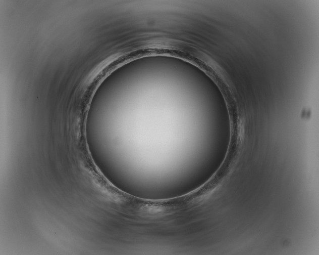 X0000111210829200907011441