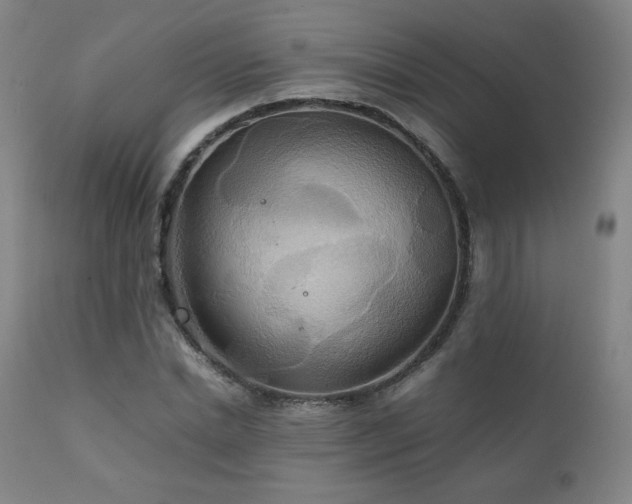 X0000111210830200907011441