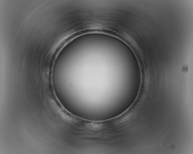 X0000111210831200907011441