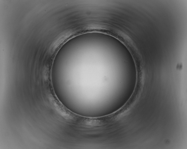 X0000111210833200907011441