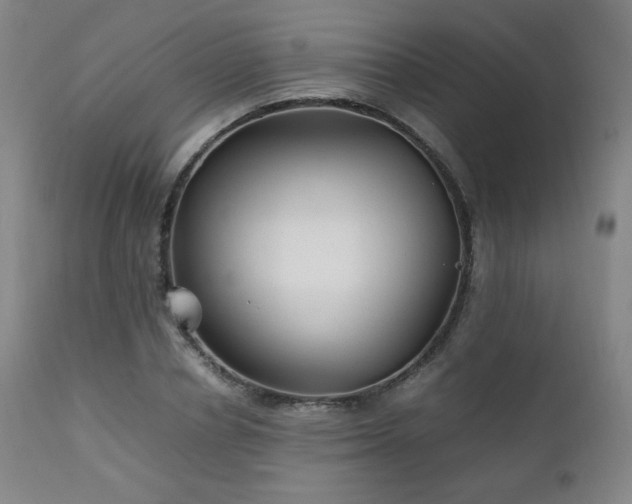 X0000111210834200907011441