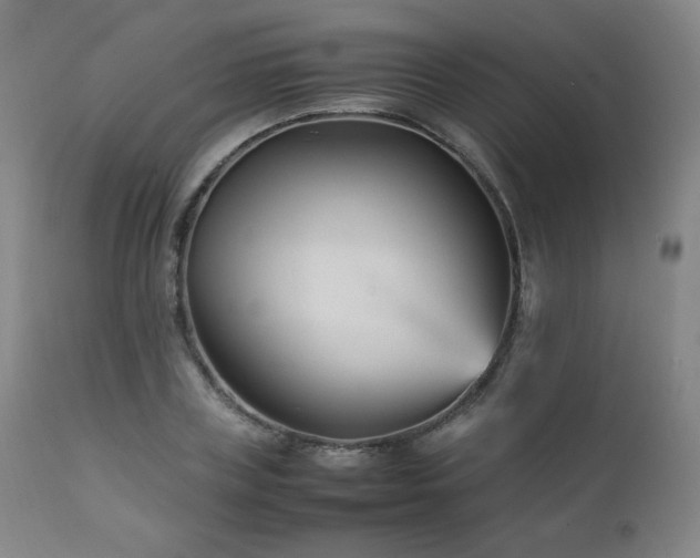 X0000111210835200907011441