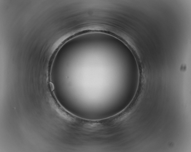 X0000111210837200907011441