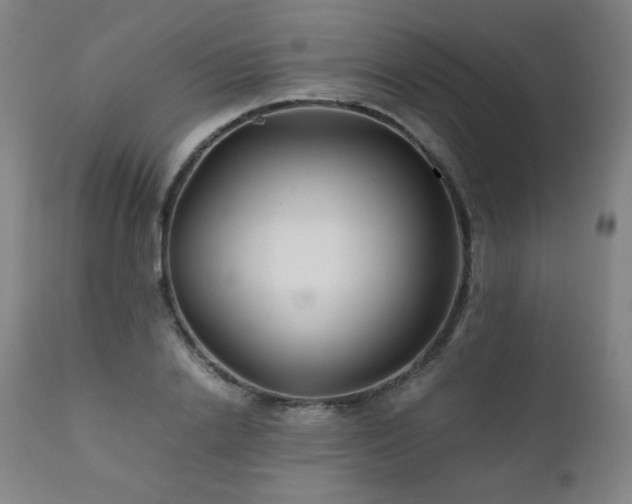 X0000111210838200907011441