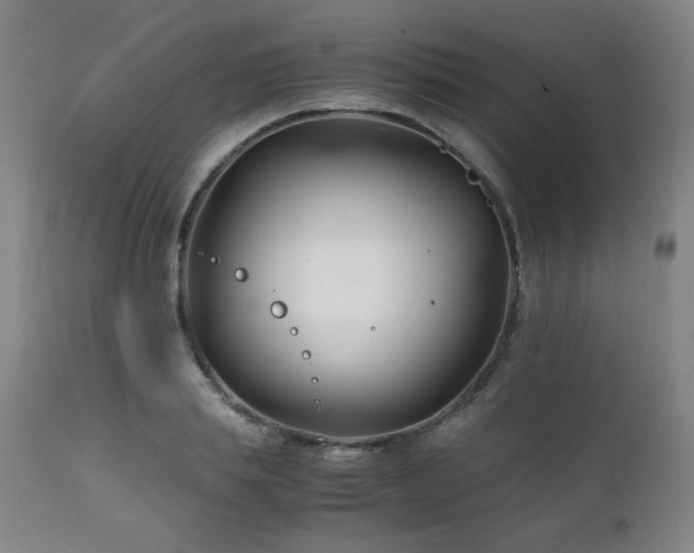 X0000111210839200907011441