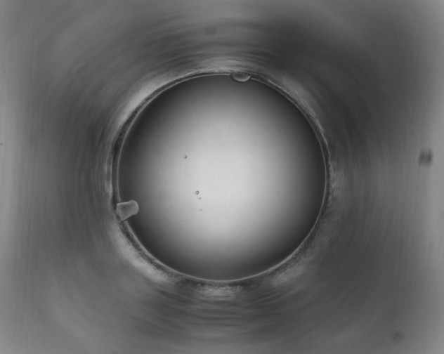 X0000111210843200907011441