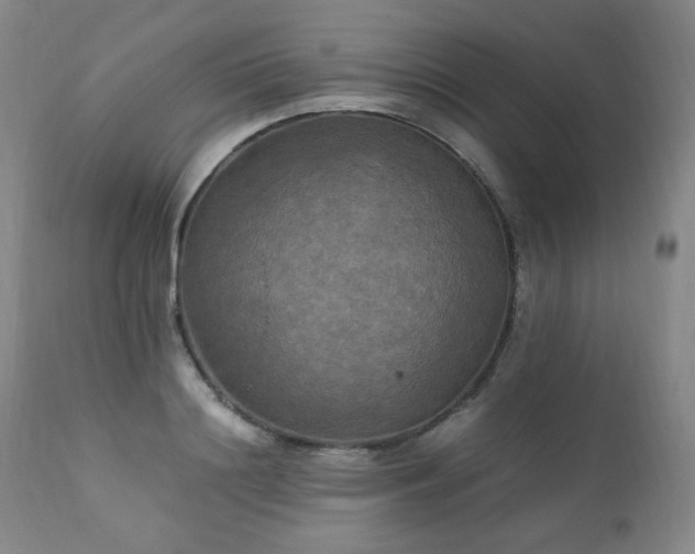 X0000111210844200907011441